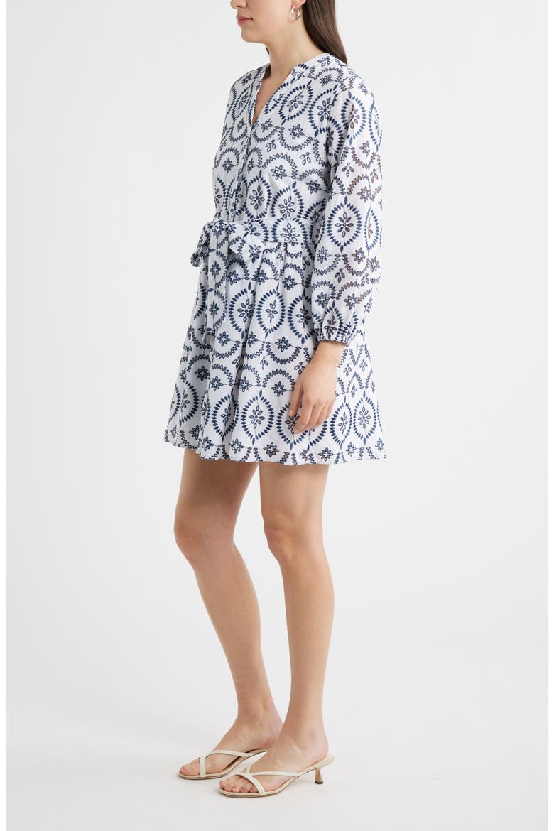 Embroidered Eyelet Lace Dress, Alternate, color, WHITE- BLUE EMBROIDERY
