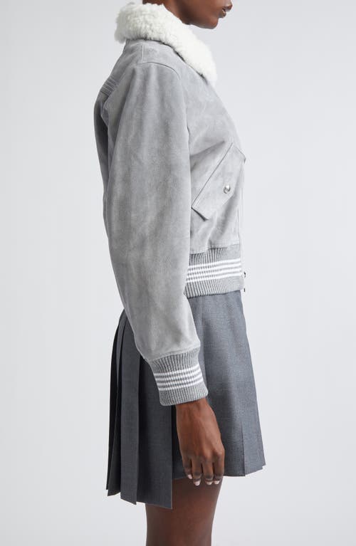 Thom Browne 4-bar Suede Crop Bomber Jacket With Genuine Shearling Collar In Gray