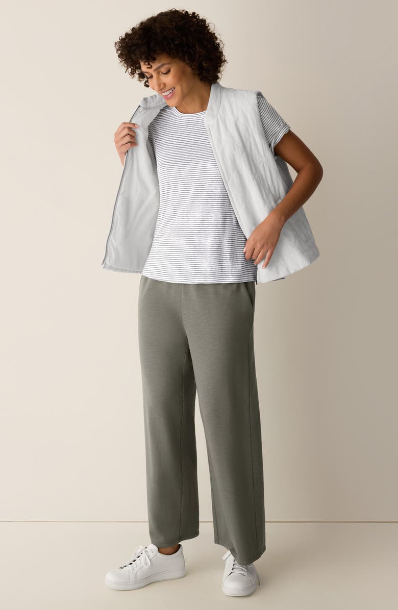 Eileen Fisher Stripe Organic Linen T-Shirt, Alternate, color, Bay Leaf