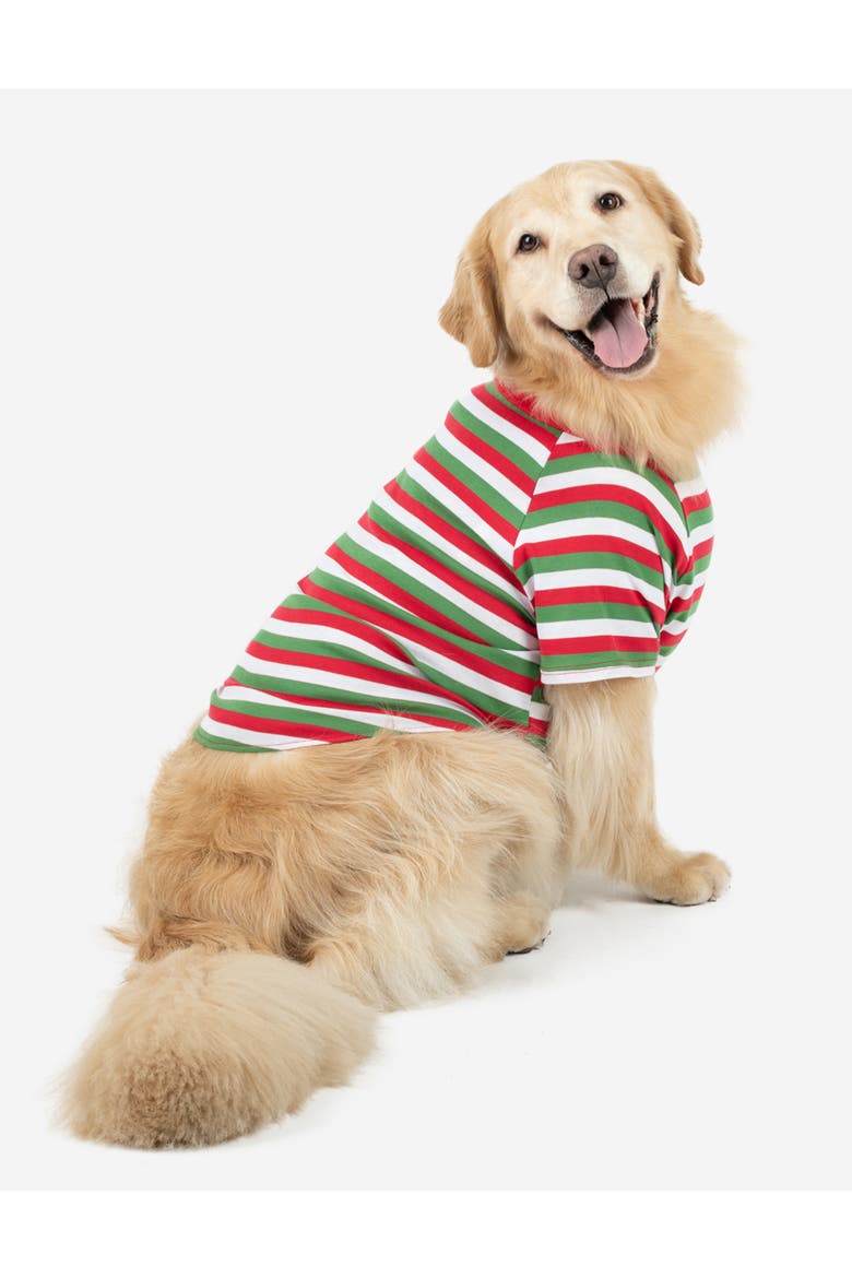 Dog Cotton Matching Family Holiday Pajamas, Main, color, Red White & Green