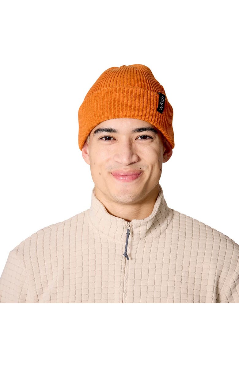 Rab Perimeter Rolled Beanie, Alternate, color, Dark Melba