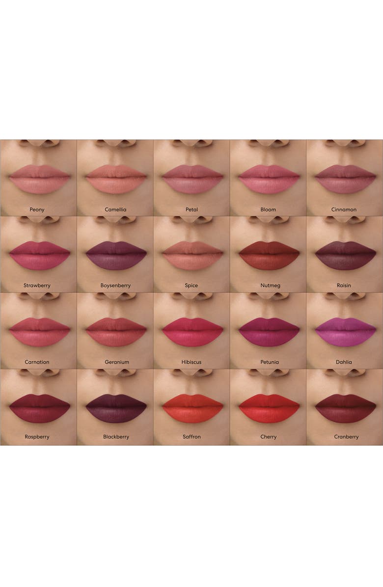 bareMinerals<sup>®</sup> BarePro Longwear Lipstick, Alternate, color,