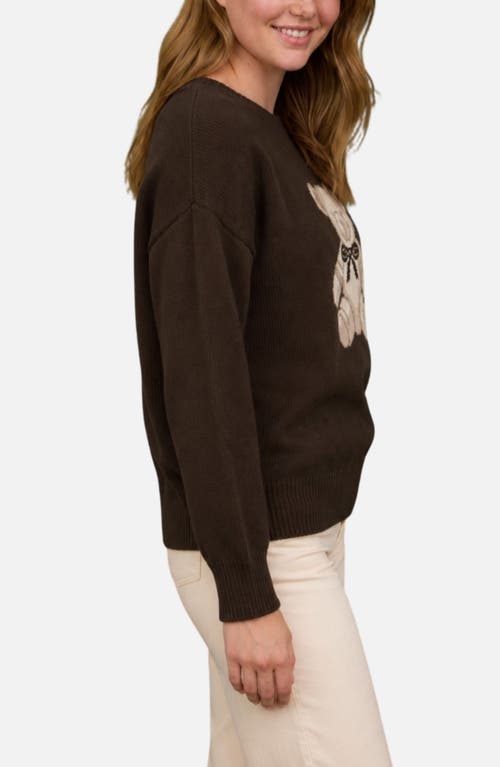 Blu Pepper Teddy Bear Pullover Sweater In Brown