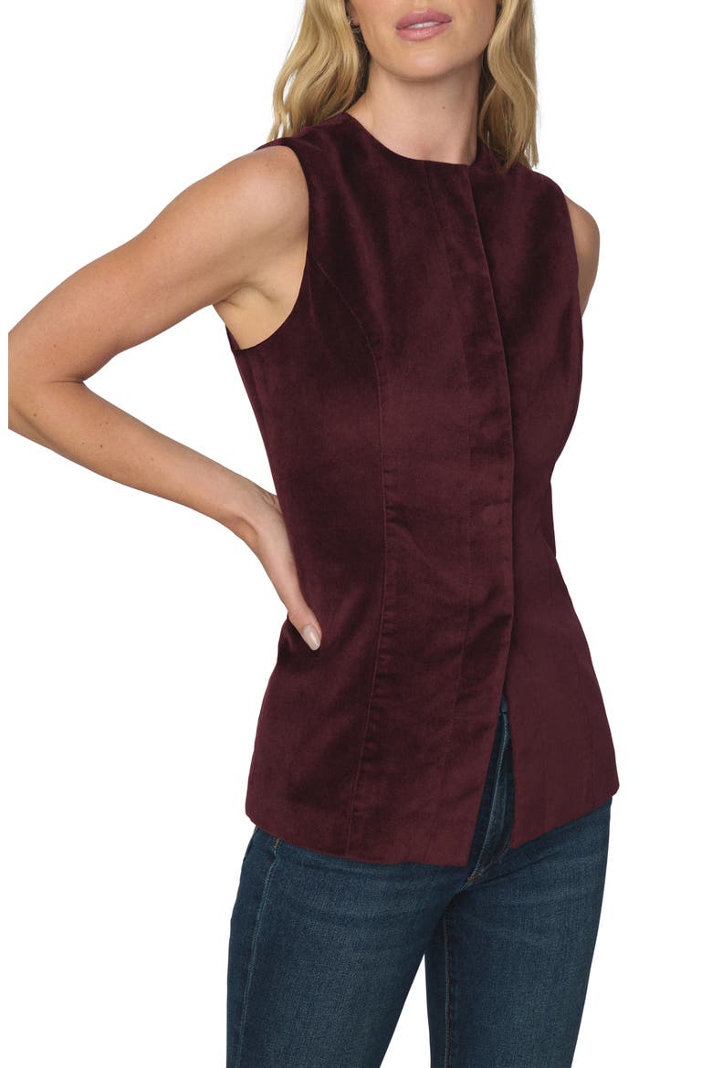 The Velveteen Sleeveless Tunic Top, Alternate, color, CABERNET