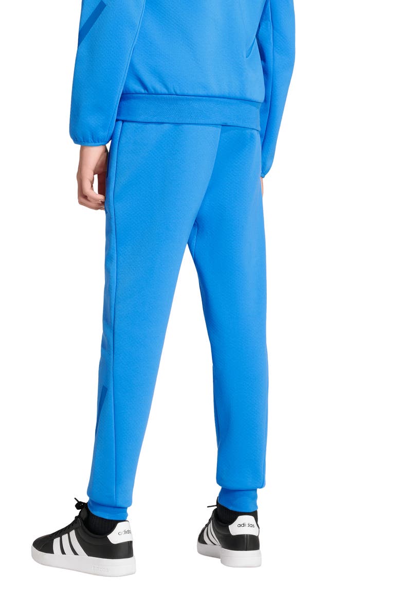 Kids' Z-N-E Primeknit Pants, Alternate, color, RAY BLUE/ BRIGHT ROYAL