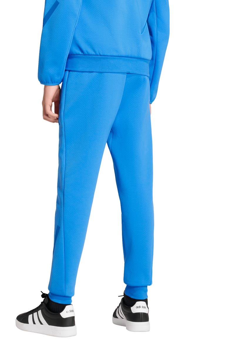 adidas Originals Kids' Z-N-E Primeknit Pants, Alternate, color, Ray Blue/ Bright Royal