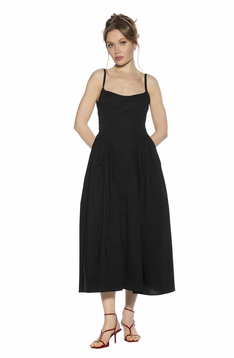 Alexia Admor Thalassa Midi Dress, Alternate, color, 