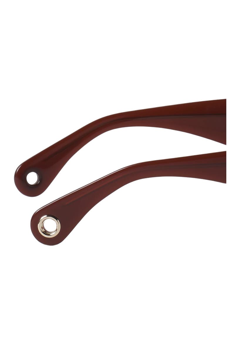 Logo Sunglasses, Alternate, color, Brown-Cherry