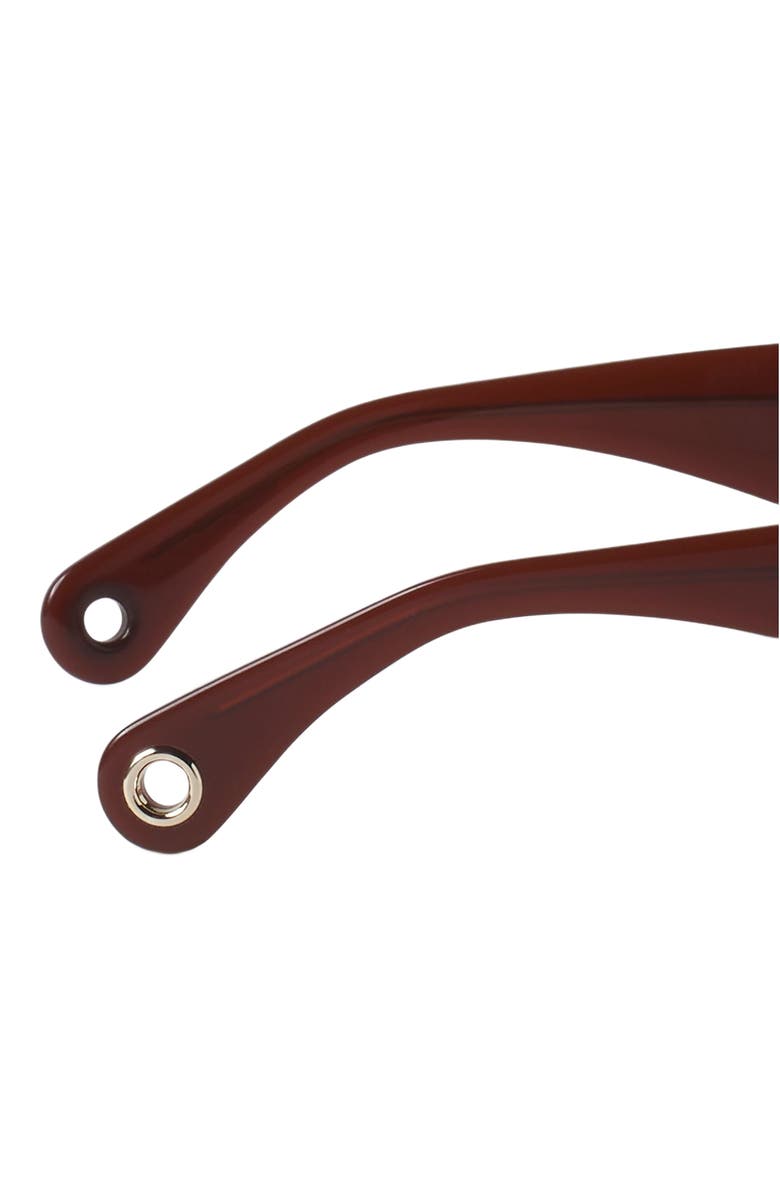 Lanvin Logo Sunglasses, Alternate, color, Brown-Cherry