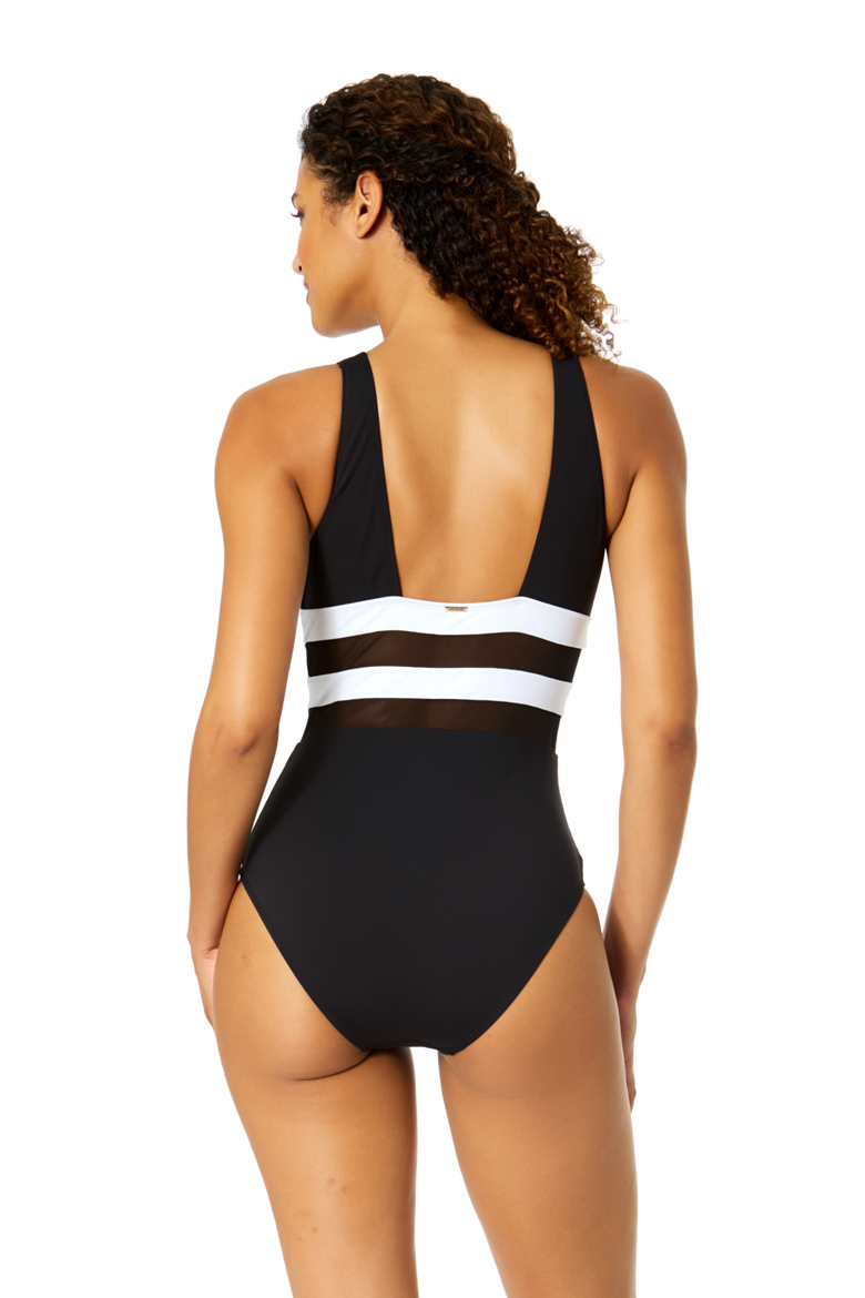 Women's Gabor Mesh Plunge Front Colorblock Mesh One Piece Swimsuit, Alternate, color, Gabor Mesh