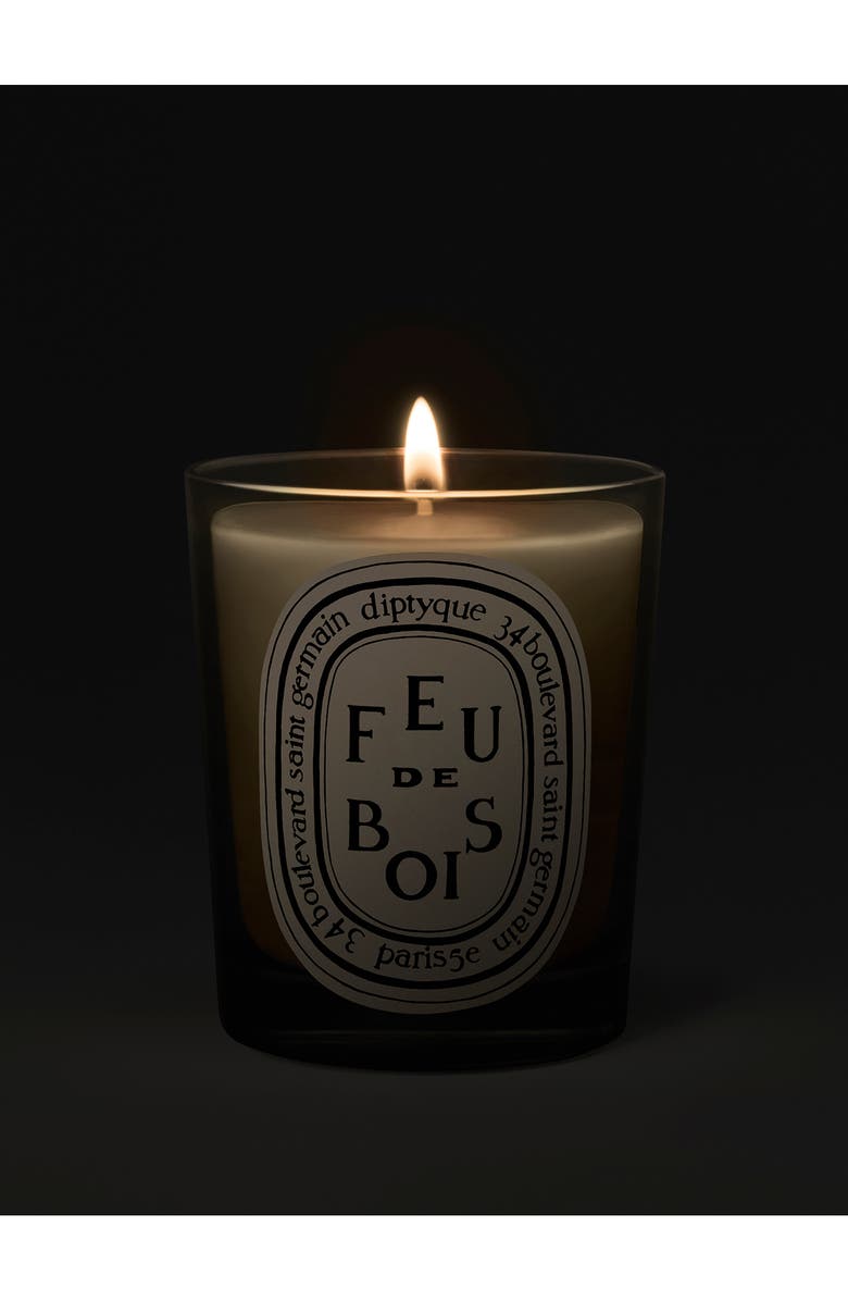 Diptyque Feu de Bois (Fire Wood) Scented Candle, Alternate, color, Clear Vessel