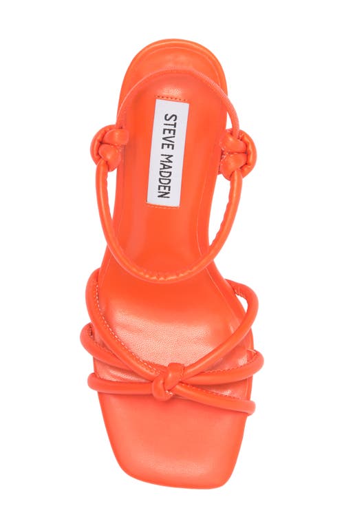 Steve Madden Tokio Knot Sandal