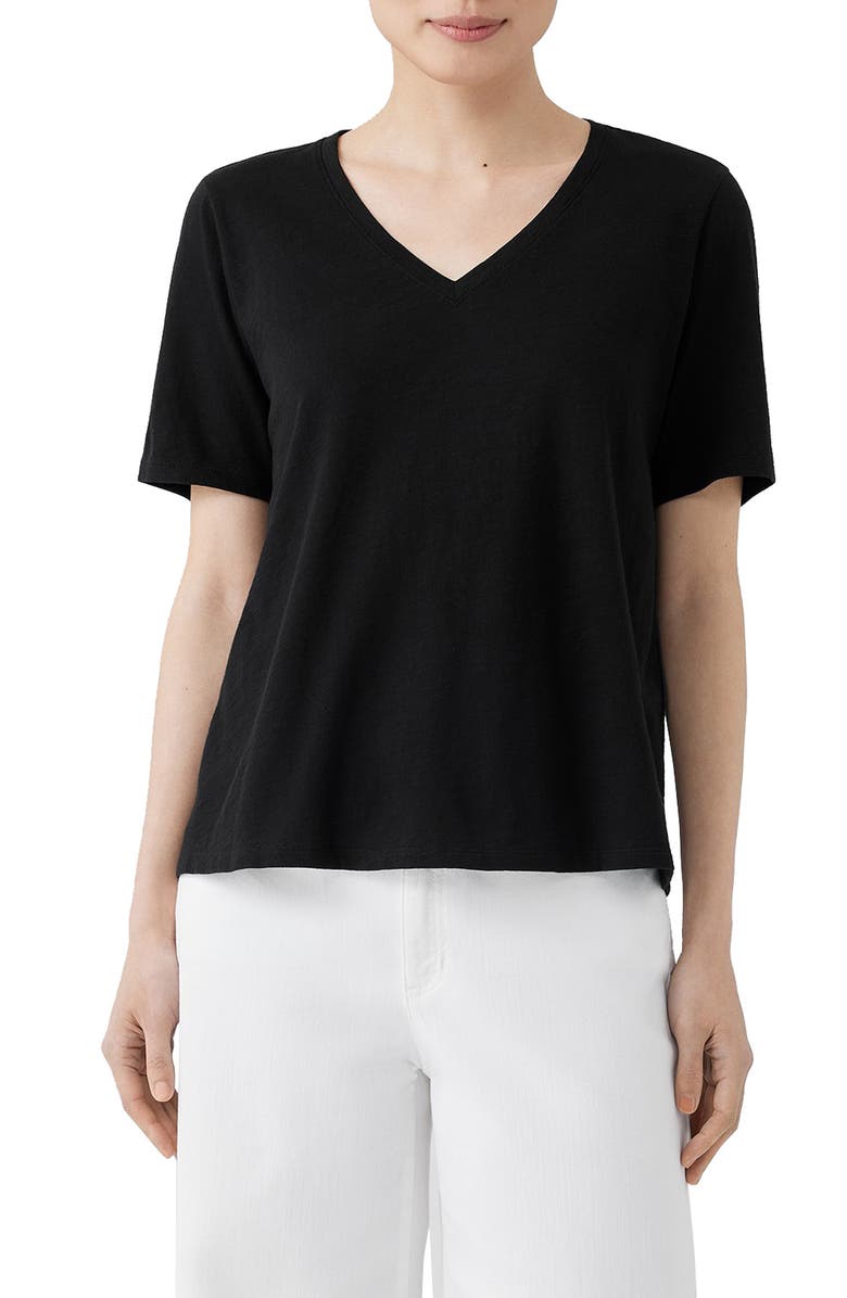 Eileen Fisher Easy V-Neck Slub T-Shirt, Main, color, 