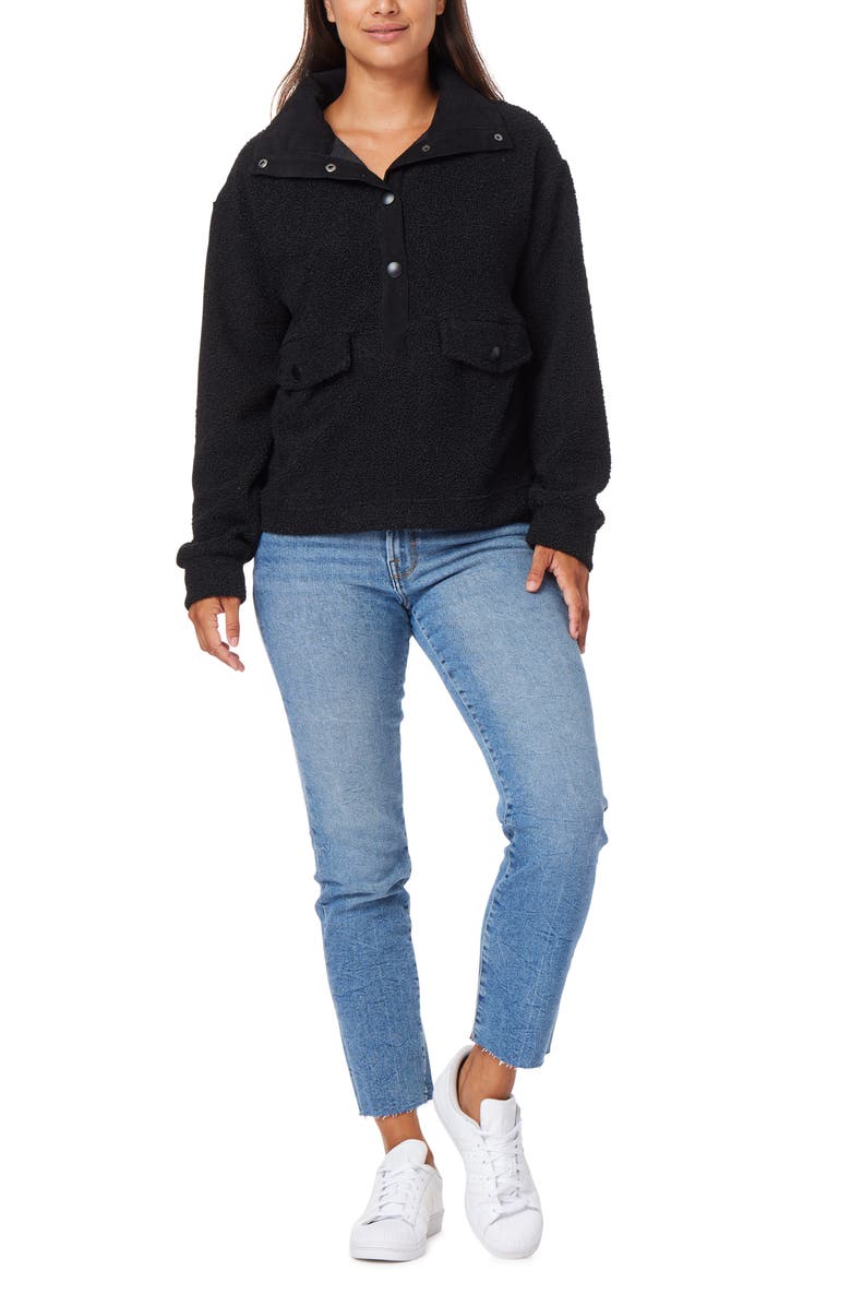 C & C California Borg Fleece Pullover, Alternate, color,