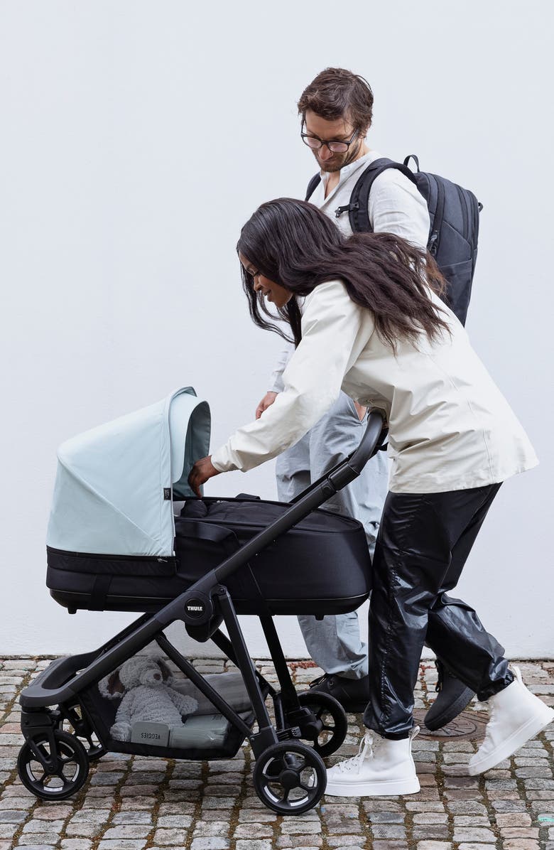 Thule Shine Bassinet for Thule Shine Stroller, Alternate, color,