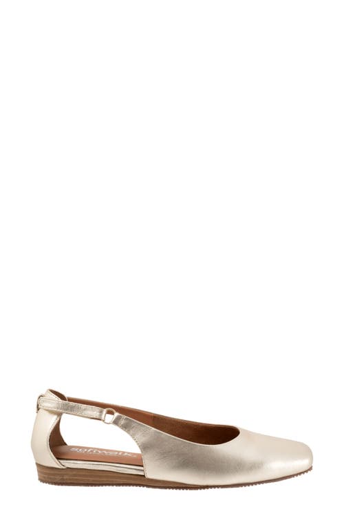 Shop Softwalk ® Venice Flat In Champagne