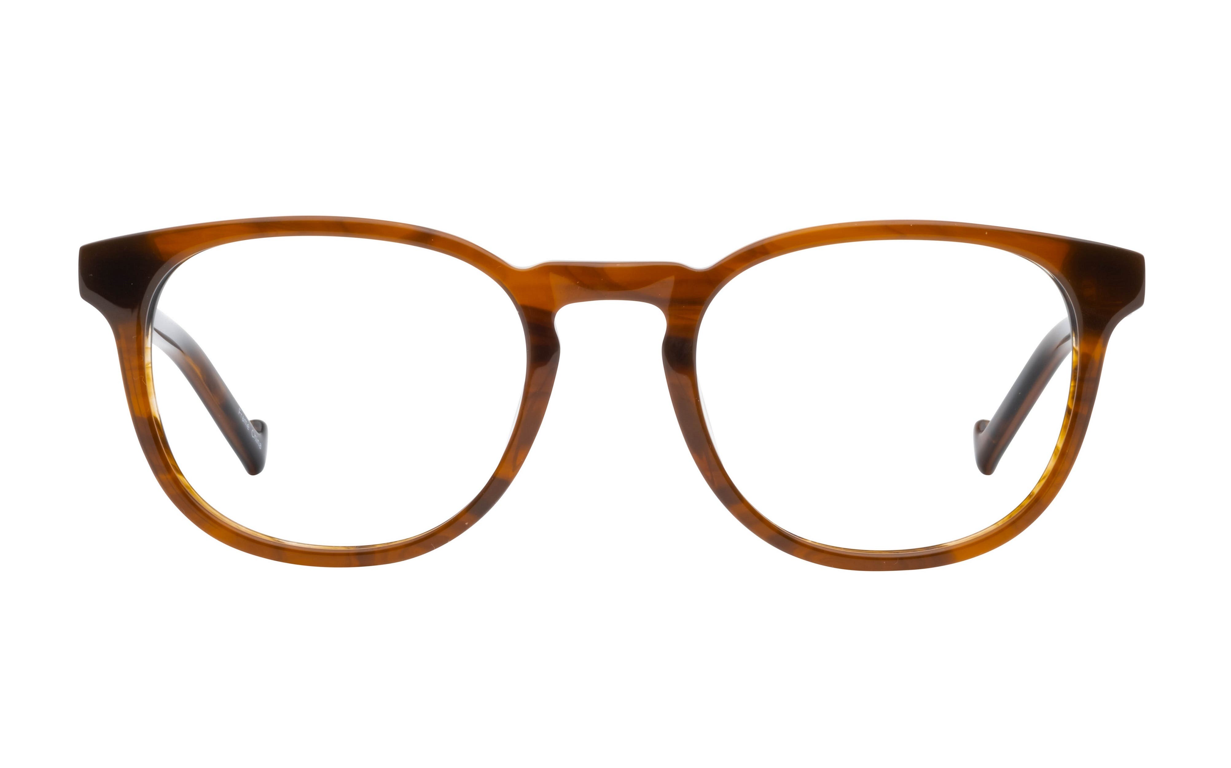 selected Chestnut Tortoise
