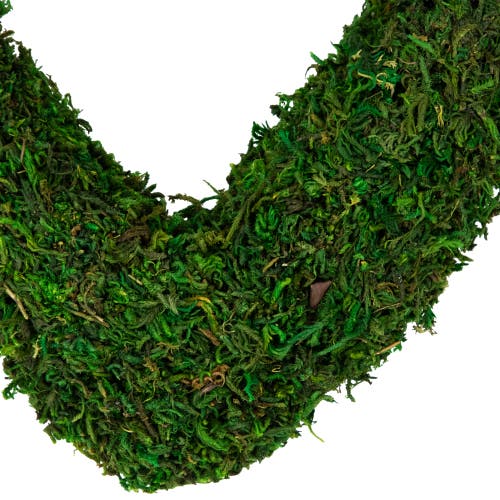 Northlight 13.5" Green Reindeer Moss Heart Twig Artificial Wreath In Green