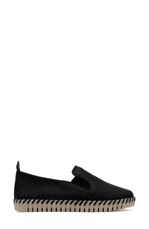 Bottero Bottwister Verao Slip-on Sneaker