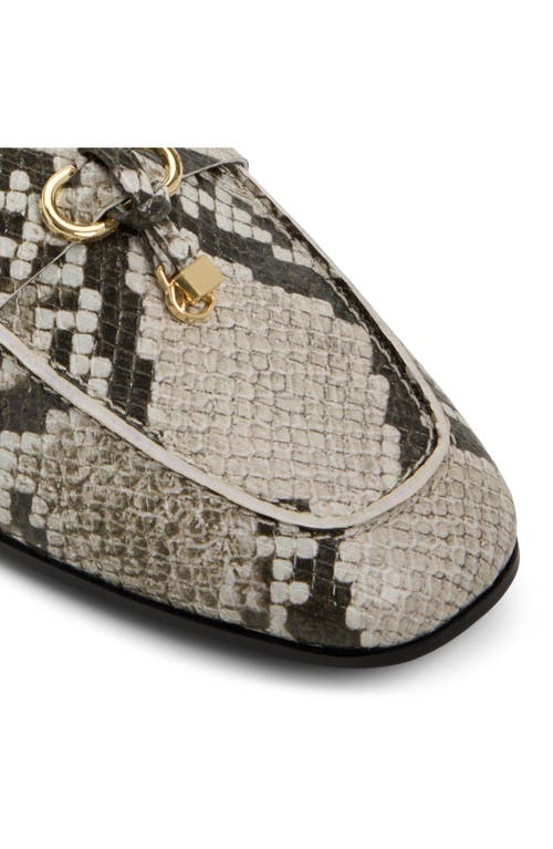 Aldo Ybilide Loafer In Multi