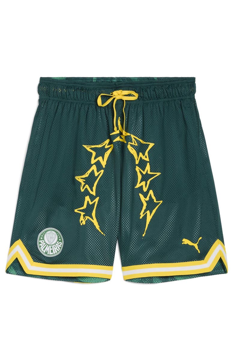 PUMA Men's Puma Green SE Palmeiras 2025 FIFA Club World Cup Hoops Reversible Shorts, Alternate, color, 