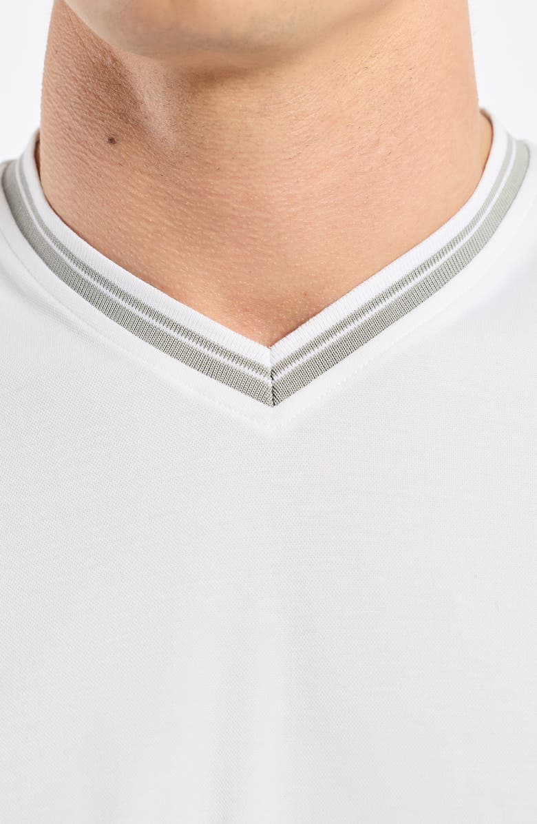 Robert Graham Holton V-Neck Cotton Blend Piqué T-Shirt, Alternate, color, White