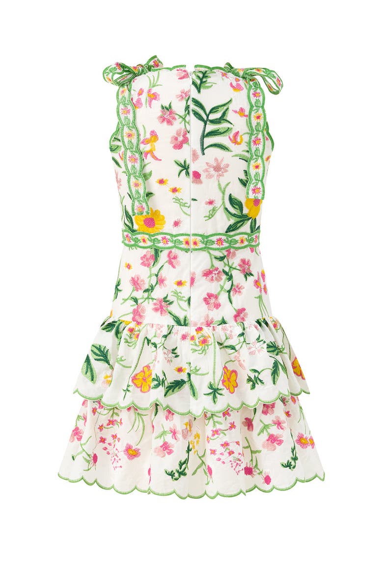 Kaylee Cotton Embroidered Mini Dress, Alternate, color, Floral