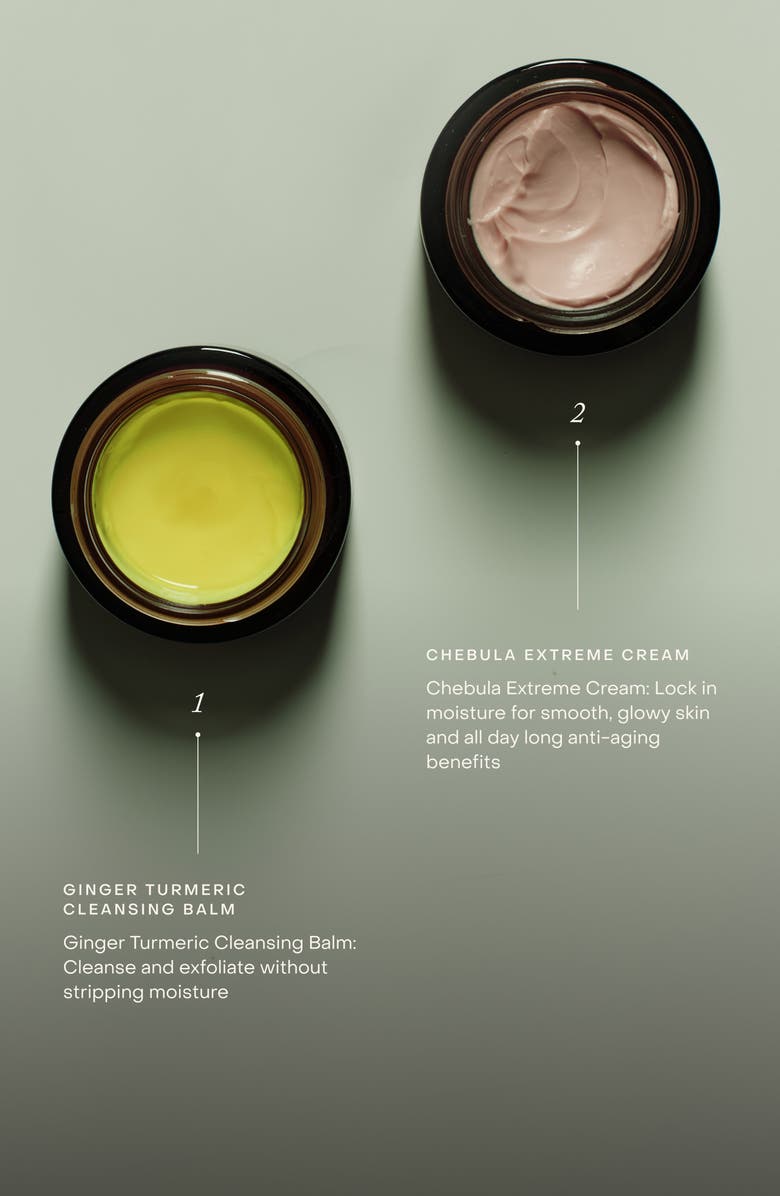 True Botanicals A True Glow-Up Duo Set, Alternate, color, 