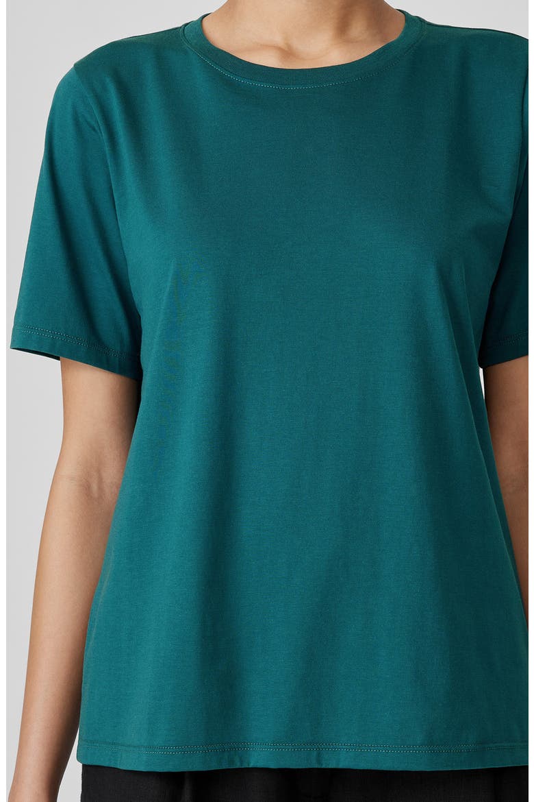 Crewneck Organic Cotton Jersey Top, Alternate, color, AEGEAN