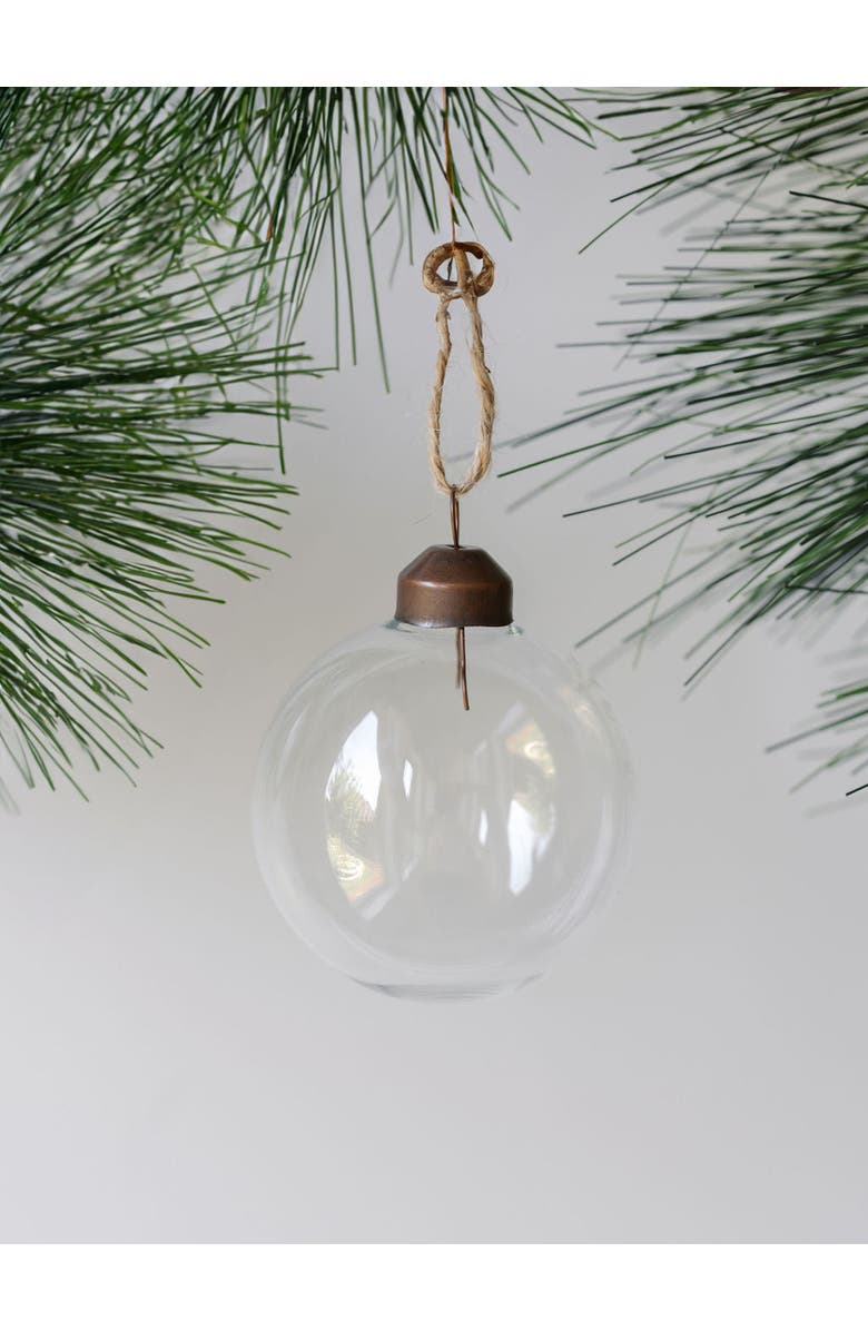 CG Hunter 2.25" Clear Glass Ornament, Alternate, color, Clear