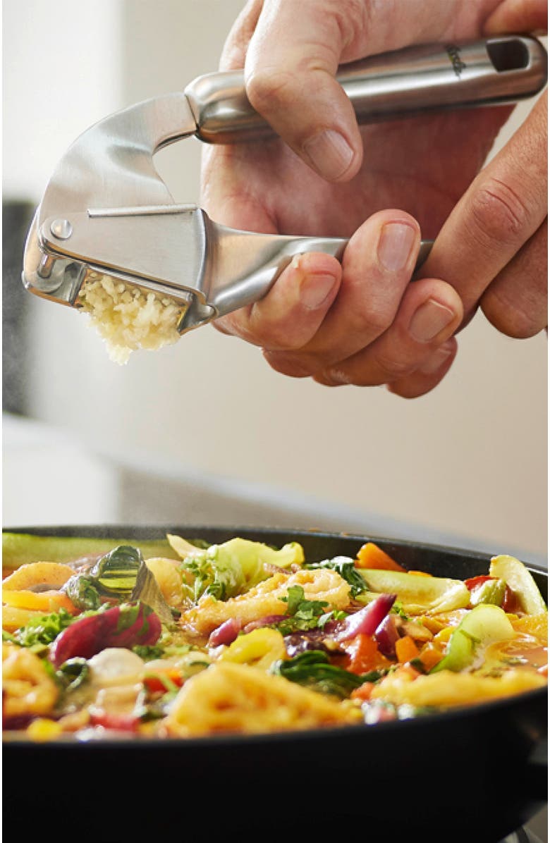 81025290 Essential Cooking Utensils Garlic Press, Alternate, color, Metallic Silver