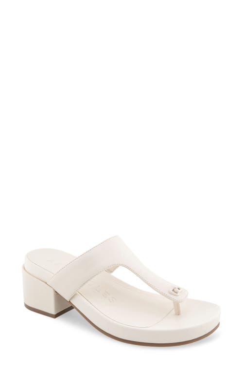 AEROSOLES AEROSOLES CLIO T-STRAP SANDAL 