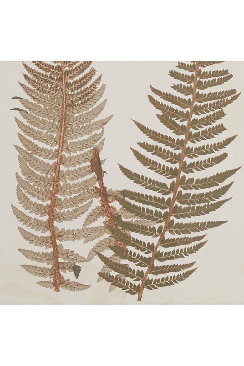 Brown Wood Fern Leaf Framed Wall Art with White Backing - Set of 2, Alternate, color, BROWN