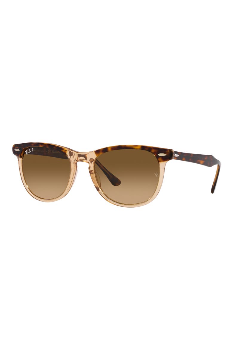 Eagle Eye 53mm Polarized Pillow Sunglasses, Alternate, color, HAVANA