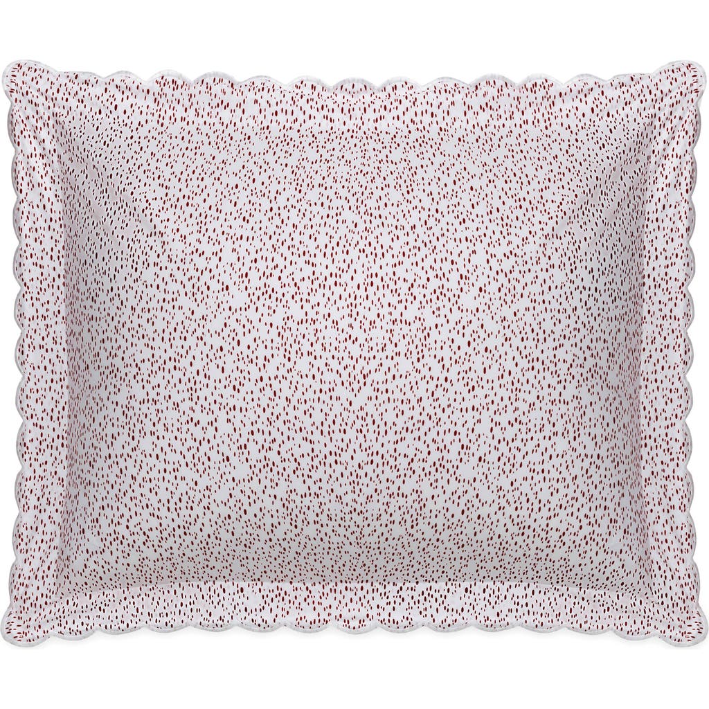 Matouk Celine Cotton Percale Sham
