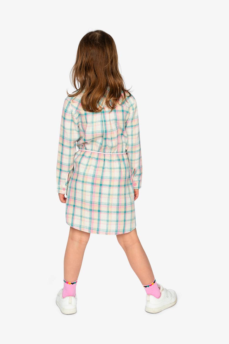 Classic Preppy Belted Long Sleeve Shirt Dress, Alternate, color, Plaid Green and Pink