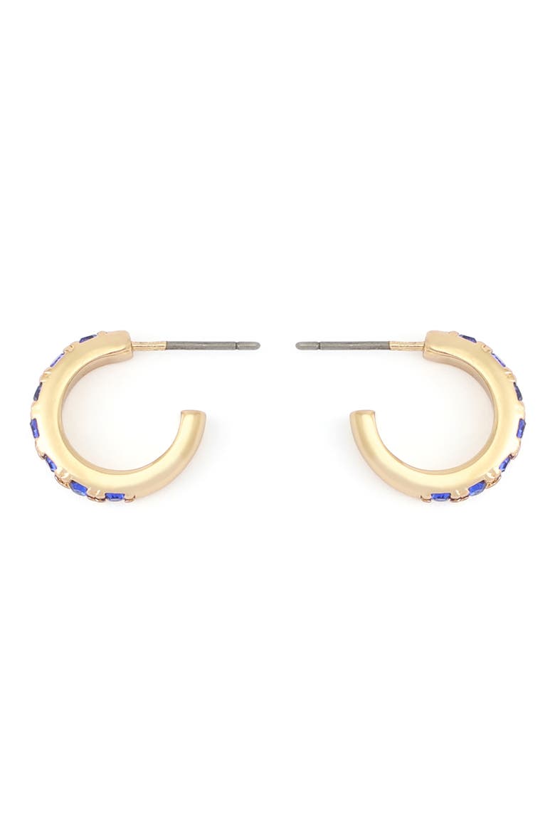 Stone Huggie Hoop Earrings, Alternate, color, BLUE
