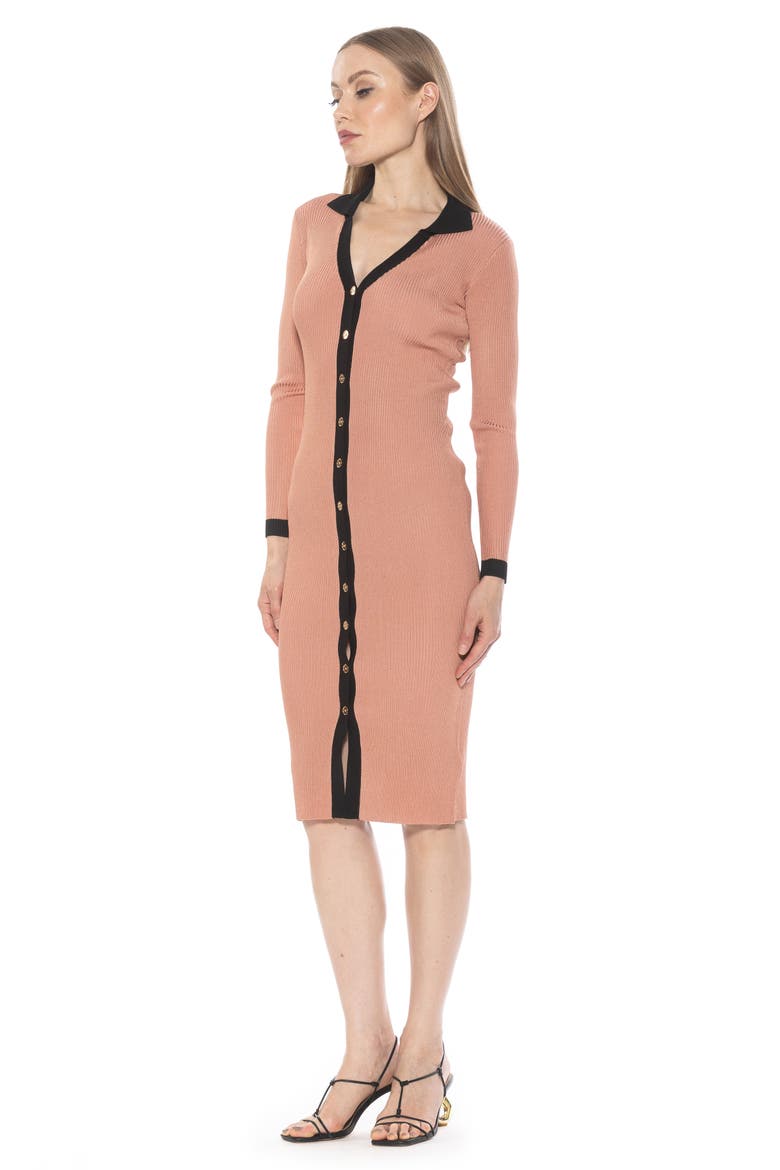 Cordelia Knit Long Sleeve Shirtdress, Alternate, color, CAMEL