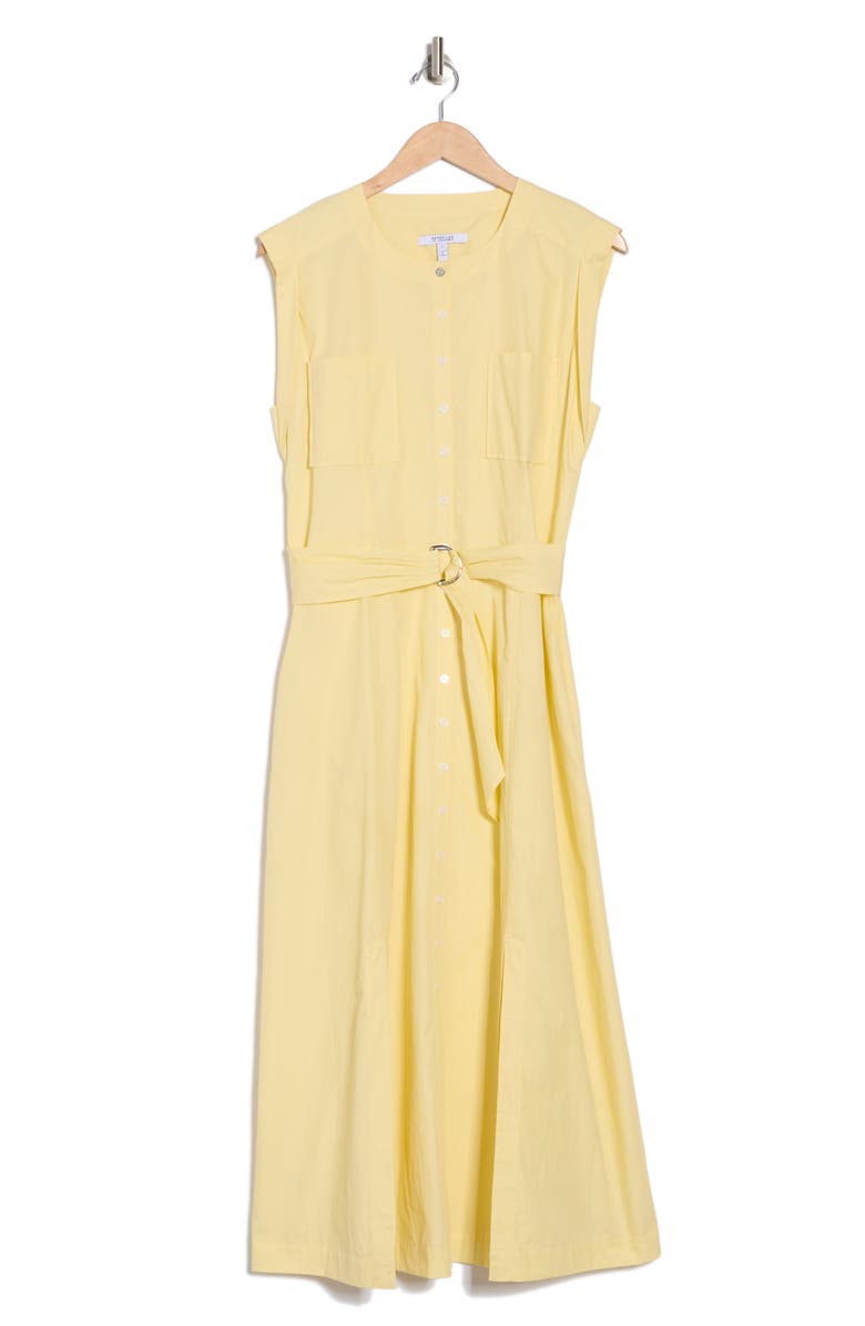 Karina Cap Sleeve Shirtdress