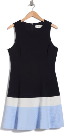 Colorblock Sleeveless Fit & Flare Dress