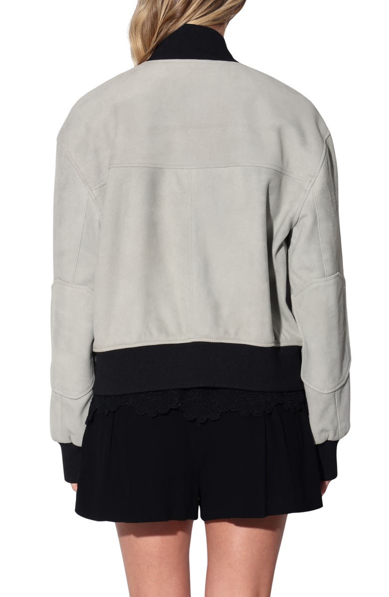 Walter Baker Emilio Suede Jacket, Alternate, color, Mist Suede
