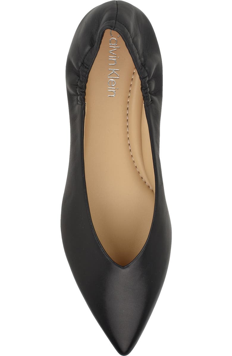 Calvin Klein Saylory Pointed Toe Flat, Alternate, color,