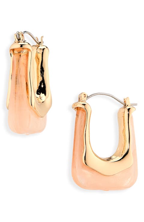 Acrylic Geometric Hoop Earrings