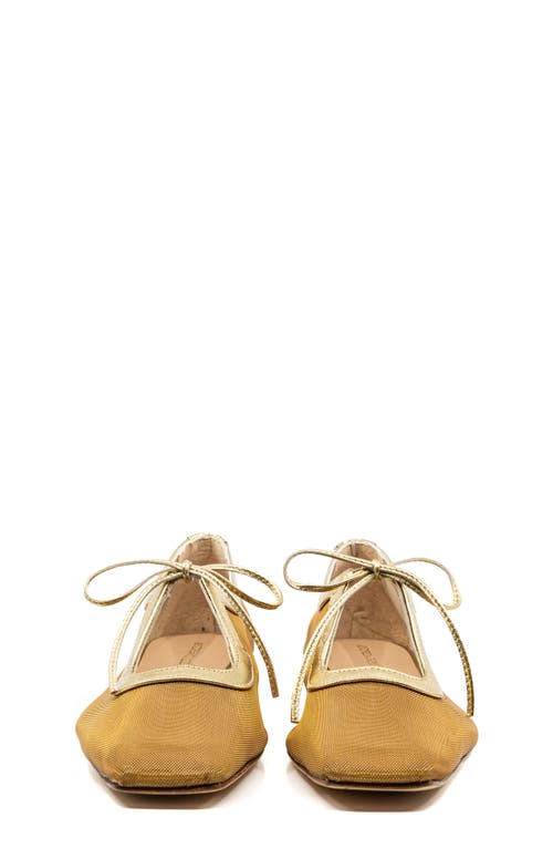 Andrea Gomez Andrea  Gomez Amelia Clear Mesh Ballet Flat In Gold