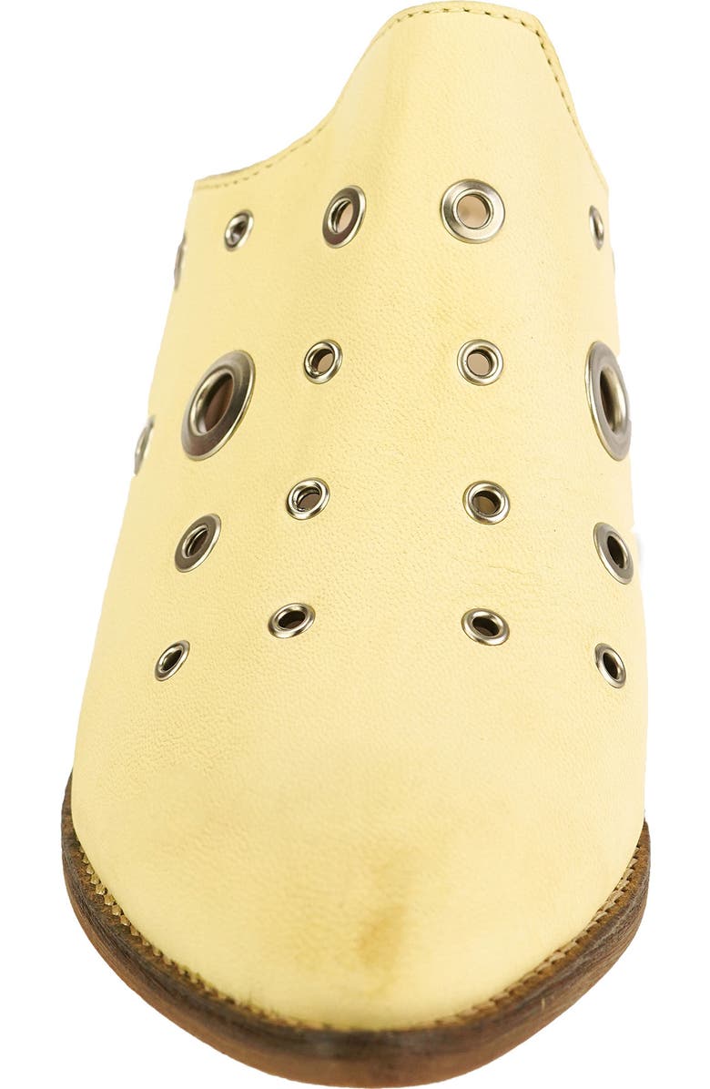 Unity in Diversity Tulip Mule, Alternate, color,