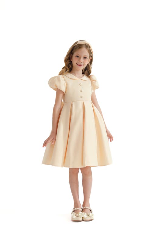 Tulleen Barrymore Teacup Buttoned Dress In Champagne