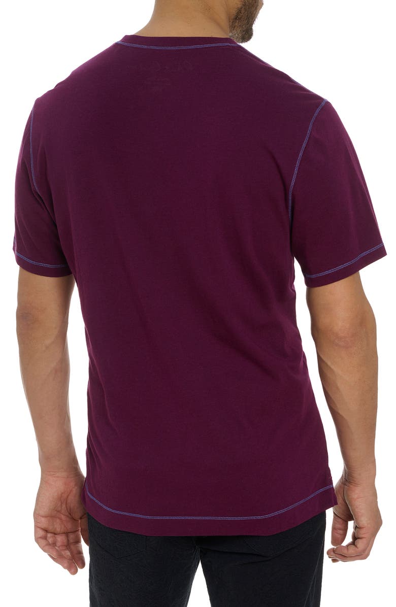 Robert Graham Eastwood Cotton & Modal V-Neck T-Shirt, Alternate, color, 