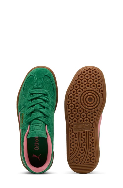Puma Kids' Palermo Sneaker In Green