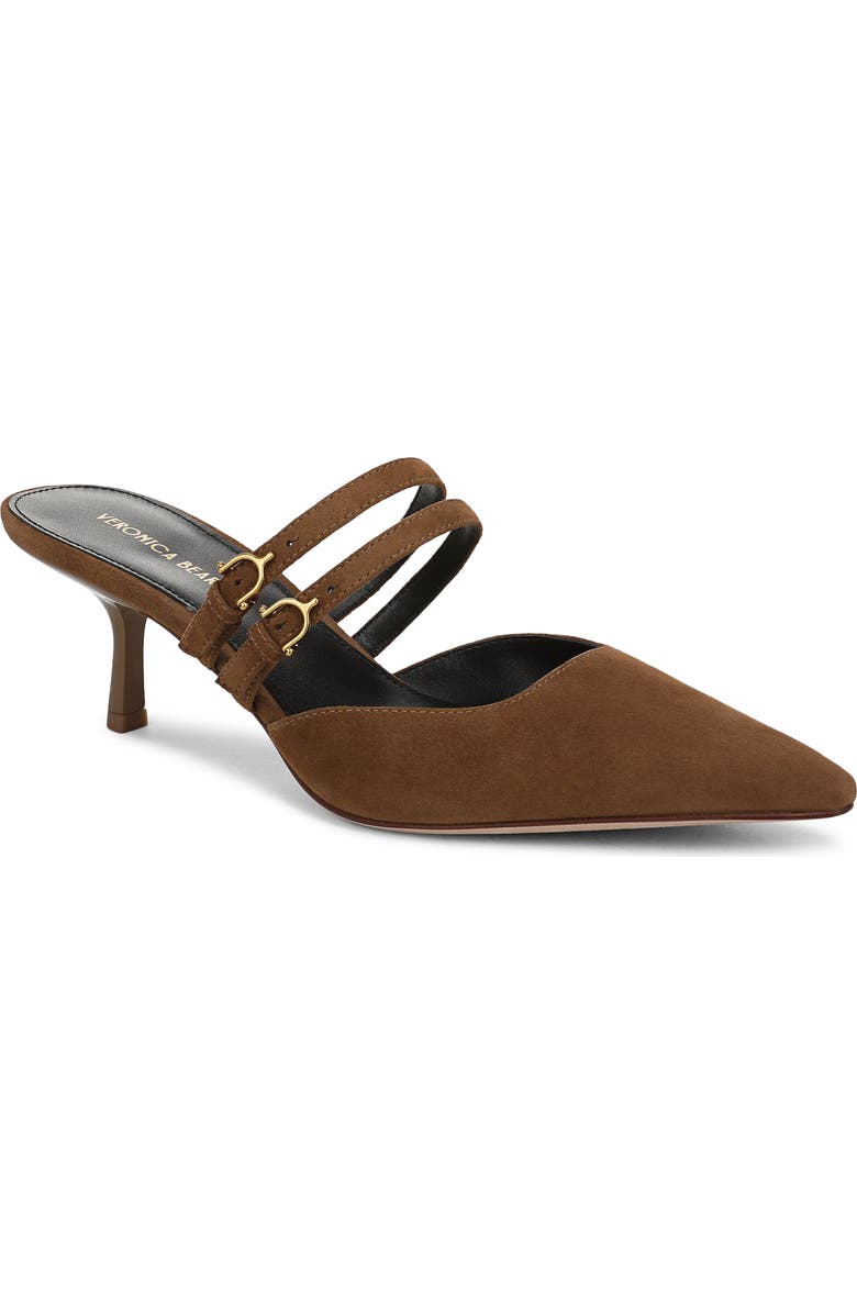 Veronica Beard Corrie Pointed Toe Pump, Main, color, Hazelwood