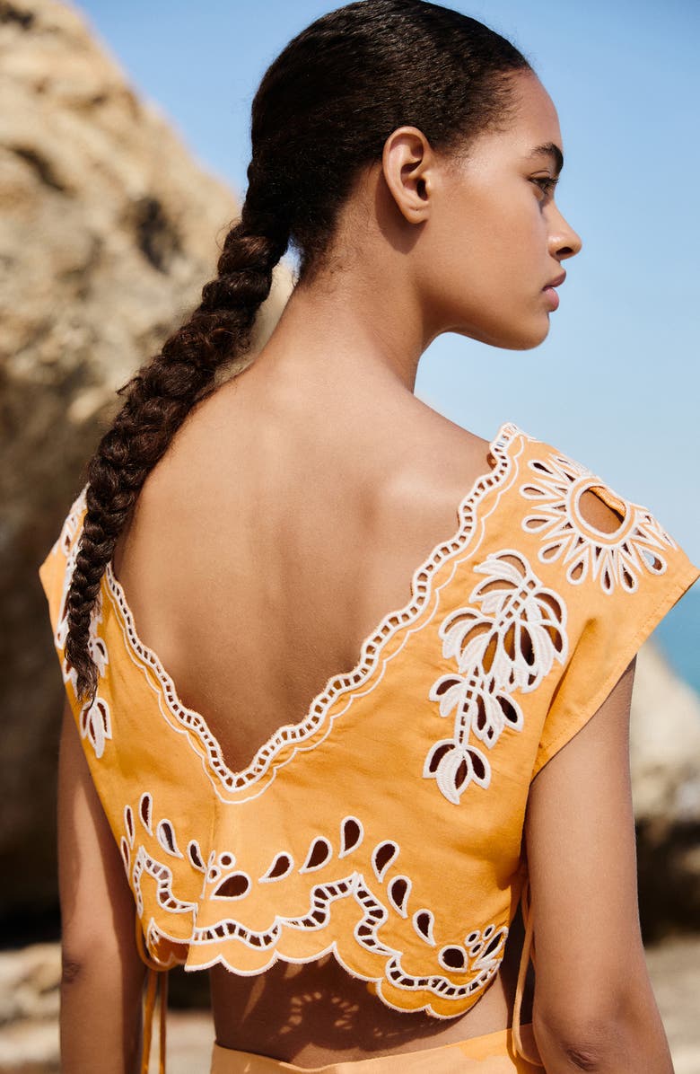 FARM Rio Embroidered Eyelet Crop Top, Alternate, color, Banana Tree Camel